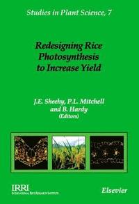 bokomslag Redesigning Rice Photosynthesis to Increase Yield