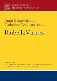 bokomslag Rubella Viruses