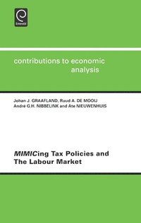 bokomslag Mimicing Tax Policies and the Labour Market
