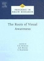 The Roots of Visual Awareness 1