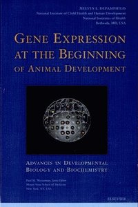 bokomslag Gene Expression at the Beginning of Animal Development