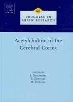 bokomslag Acetylcholine in the Cerebral Cortex