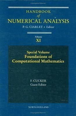 bokomslag Special Volume: Foundations of Computational Mathematics