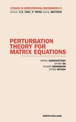 M. Konstantinov, D. Wei Gu, V. Mehrmann, P. Petkov - Perturbation Theory for Matrix Equations, Inbunden