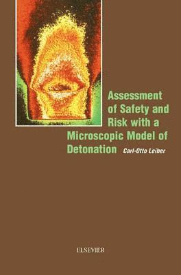 bokomslag Assessment of Safety and Risk with a Microscopic Model of Detonation