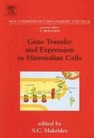 bokomslag Gene Transfer and Expression in Mammalian Cells