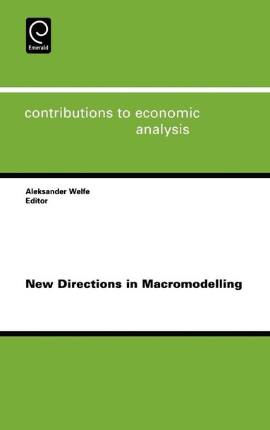 bokomslag New Directions in Macromodelling