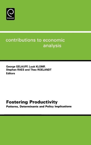 bokomslag Fostering Productivity