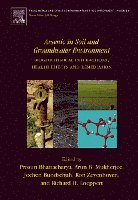 Prosun Bhattacharya, Arun B. B. Mukherjee, Jochen Bundschuh, Ron Zevenhoven, Richard H. Loeppert - Arsenic in Soil and Groundwater Environment, Inbunden