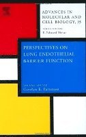 C.E. Patterson, Edward Bittar - Perspectives on Lung Endothelial Barrier Function, Inbunden