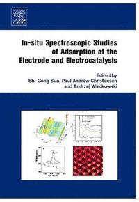 bokomslag In-situ Spectroscopic Studies of Adsorption at the Electrode and Electrocatalysis