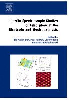 Shi-Gang Sun, Paul A. Christensen, Andrzej Wieckowski - In-situ Spectroscopic Studies of Adsorption at the Electrode and Electrocatalysis, Inbunden