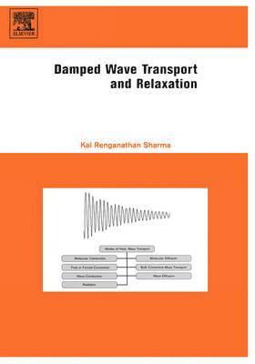 Damped Wave Transport and Relaxation 1