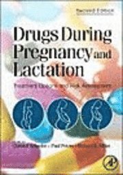 Christof Schaefer, Paul W.J. Peters, Richard K Miller - Drugs During Pregnancy and Lactation, Inbunden