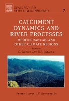 bokomslag Catchment Dynamics and River Processes