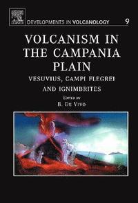 bokomslag Volcanism in the Campania Plain