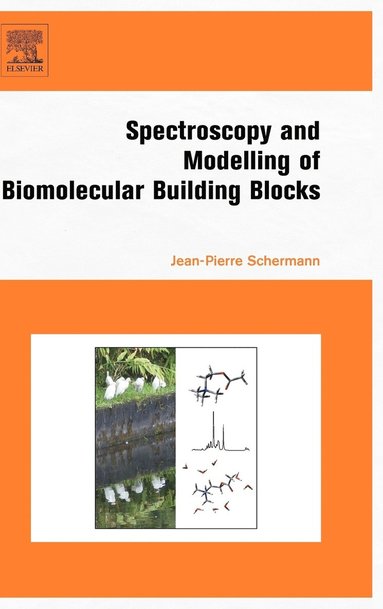 bokomslag Spectroscopy and Modeling of Biomolecular Building Blocks