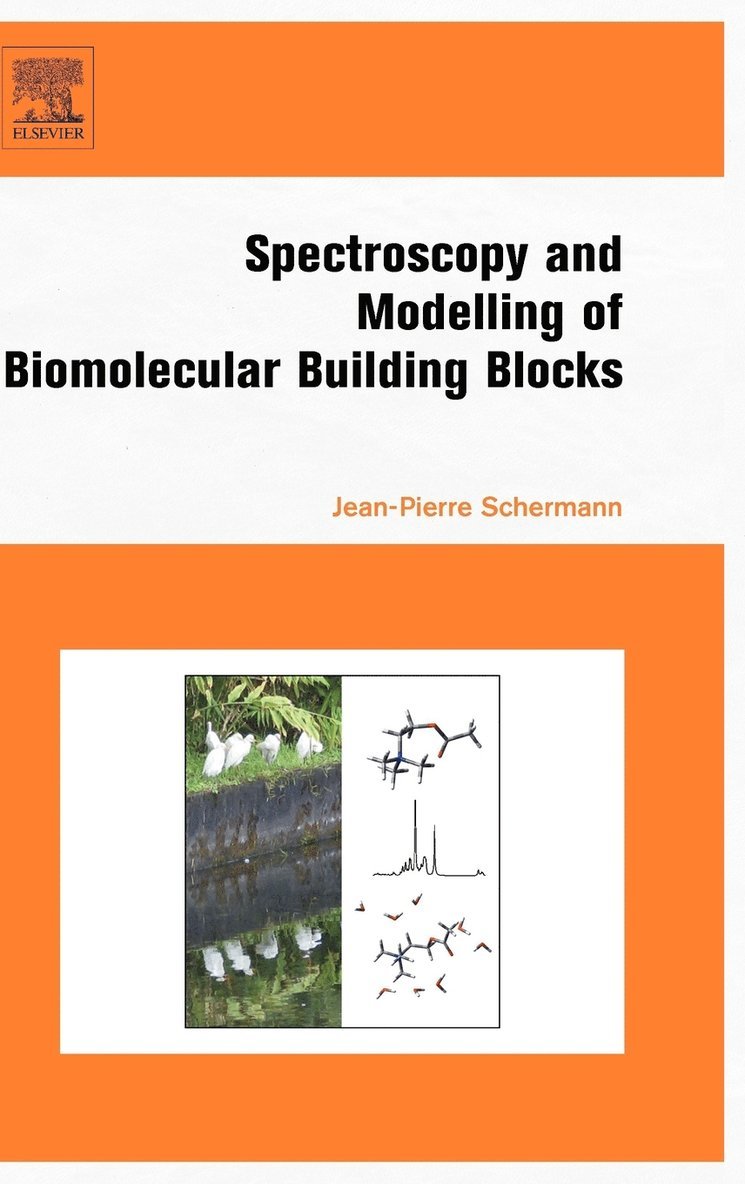 Jean-Pierre Schermann, France) Schermann, Jean-Pierre (Emeritus Professor, University Paris - Spectroscopy and Modeling of Biomolecular Building Blocks, Inbunden