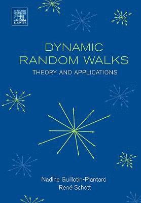 bokomslag Dynamic Random Walks