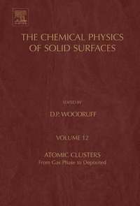 bokomslag Atomic Clusters
