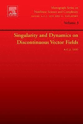bokomslag Singularity and Dynamics on Discontinuous Vector Fields