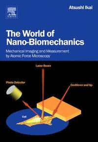 bokomslag The World of Nano-Biomechanics