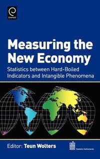 bokomslag Measuring the New Economy