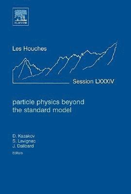 bokomslag Particle Physics beyond the Standard Model