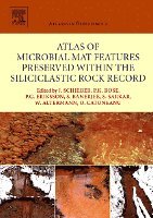 Juergen Schieber, Pradip K. Bose, P.G. Eriksson, Santanu Banerjee, Subir Sarkar, Wladyslaw Altermann, Octavian Catuneanu - Atlas of Microbial Mat Features Preserved within the Siliciclastic Rock Record, Inbunden