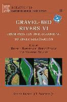 Gravel Bed Rivers 6
