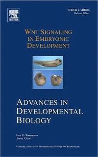 bokomslag Wnt Signaling in Embryonic Development