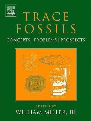 bokomslag Trace Fossils