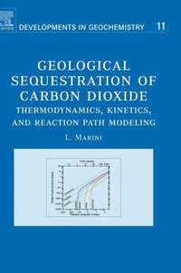 bokomslag Geological Sequestration of Carbon Dioxide