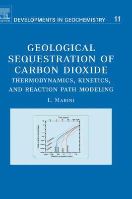 bokomslag Geological Sequestration of Carbon Dioxide