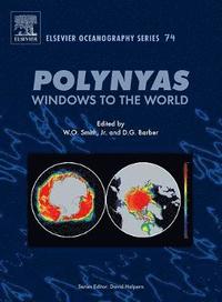 bokomslag Polynyas: Windows to the World