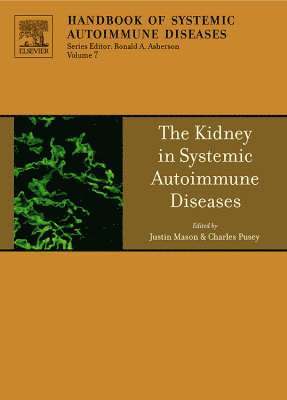 bokomslag The Kidney in Systemic Autoimmune Diseases