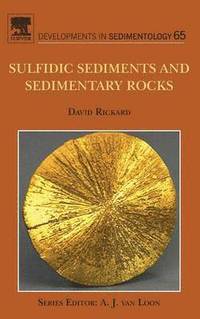 bokomslag Sulfidic Sediments and Sedimentary Rocks