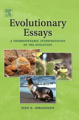 Evolutionary Essays 1