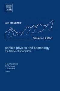 bokomslag Particle Physics and Cosmology: the Fabric of Spacetime