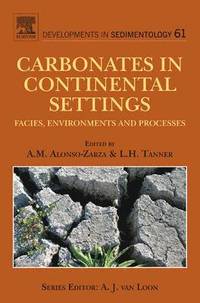 bokomslag Carbonates in Continental Settings