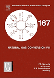 Natural Gas Conversion VIII