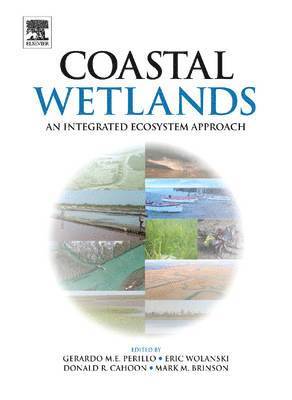 Gerardo M.E. Perillo, Eric Wolanski, Donald R. Cahoon, Mark M. Brinson - Coastal Wetlands, Inbunden