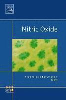 Nitric Oxide 1