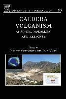 bokomslag Caldera Volcanism