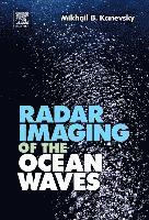 Mikhail B. Kanevsky, Mikhail B Kanevsky - Radar Imaging of the Ocean Waves, Inbunden