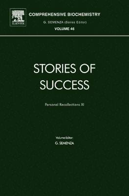 bokomslag Stories of Success