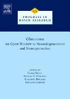 Carlo Nucci, Luciano Cerulli, Neville N. Osborne, Giacinto Bagetta - Glaucoma: An Open-Window to Neurodegeneration and Neuroprotection, Inbunden