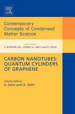 bokomslag Carbon Nanotubes: Quantum Cylinders of Graphene