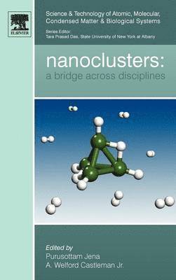 bokomslag Nanoclusters