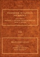 Andres M. Lozano, Mark Hallett - Brain Stimulation, Inbunden